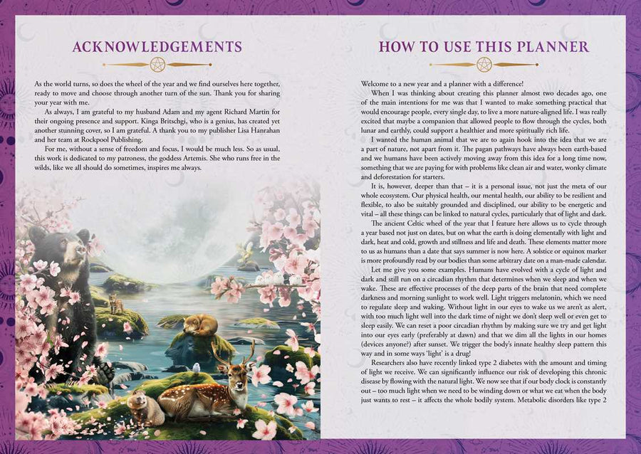 2026 Lunar and Seasonal Planner Calendar: Northern Hemisphere by Stacey Demarco-Earth Fairy Holistics