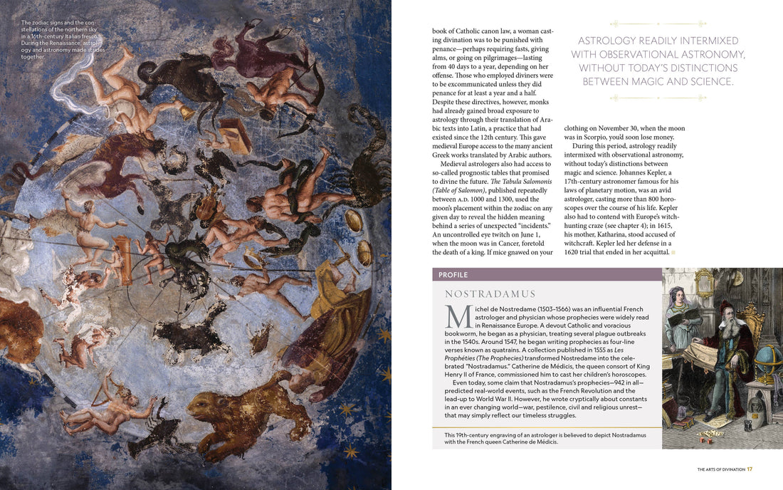 NG Book of Magic-Earth Fairy Holistics