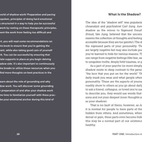 Shadow Work Workbook by Jor-El Caraballo-Earth Fairy Holistics