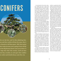 The Trees Around You-Earth Fairy Holistics