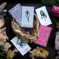 2" x 3.5" Mini Plant Poetry Oracle Card Mystery Pack-Earth Fairy Holistics