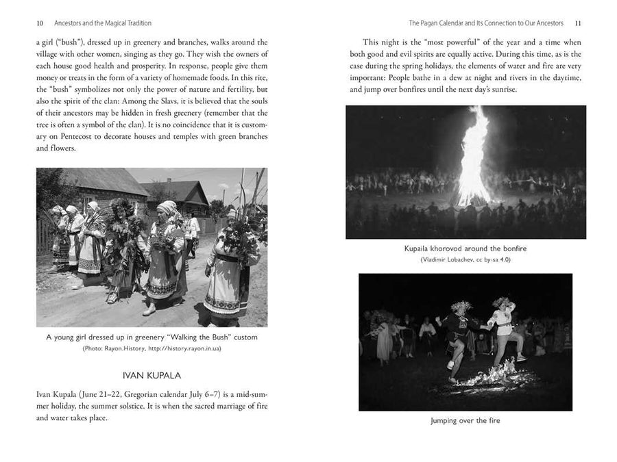 Ancestral Slavic Magic by Natasha Helvin-Earth Fairy Holistics