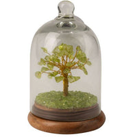 GEMSTONE TREES IN A GLASS DOME-Earth Fairy Holistics