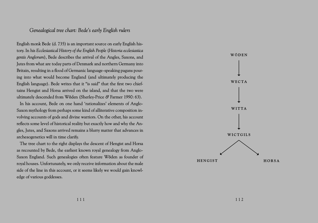 The Nine Plants Spell, 3rd Edition by Joseph S. Hopkins-Earth Fairy Holistics