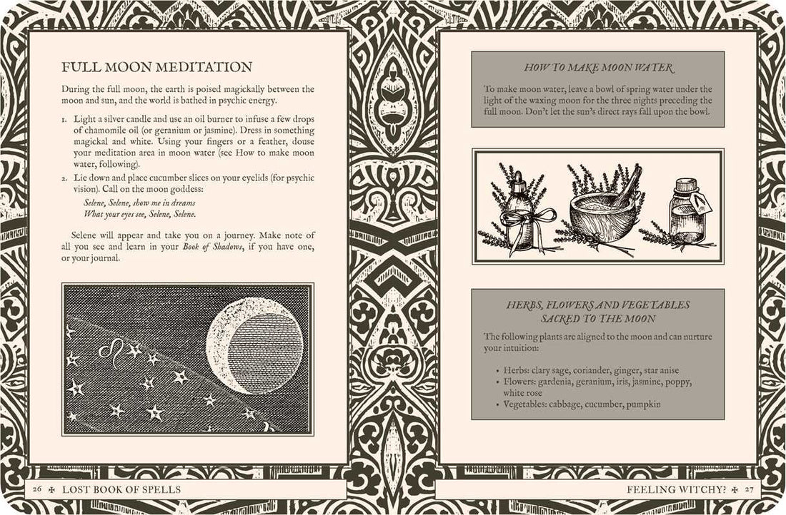 Lost Book of Spells by Fiona Horne-Earth Fairy Holistics