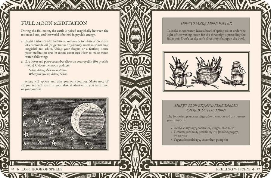 Lost Book of Spells by Fiona Horne-Earth Fairy Holistics