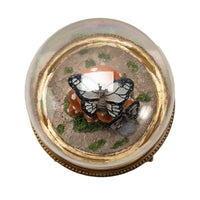 16272 Butterfly Mushroom Cloche-Earth Fairy Holistics