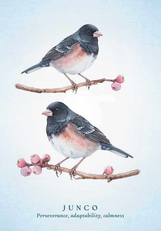 Spiritual Meaning of Birds Oracle Deck by Arin Murphy-Hiscock-Earth Fairy Holistics