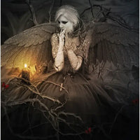 Dark Light Oracle-Earth Fairy Holistics