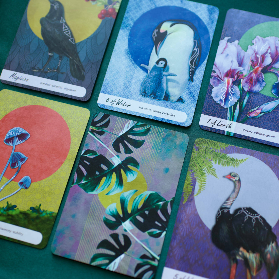 Wise Earth Medicine Tarot: 78 Cards & 96 Page Guidebook-Earth Fairy Holistics