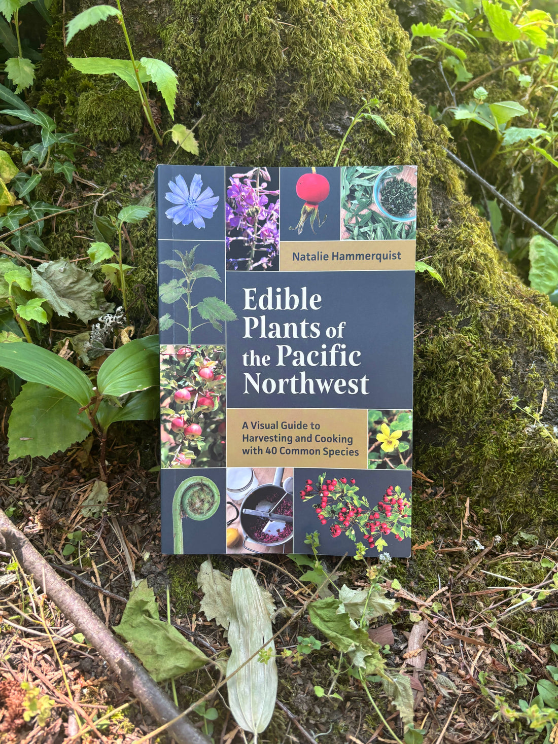 Edible Plants of the Pacific Northwest-Earth Fairy Holistics