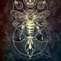 Talisman Oracle-Earth Fairy Holistics