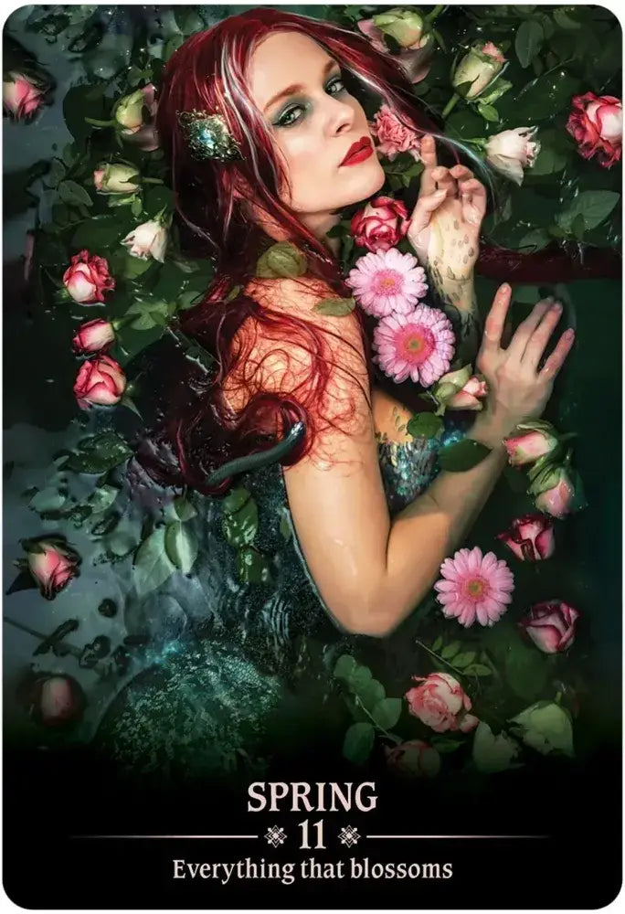 Dark Light Oracle-Earth Fairy Holistics