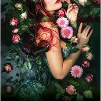 Dark Light Oracle-Earth Fairy Holistics