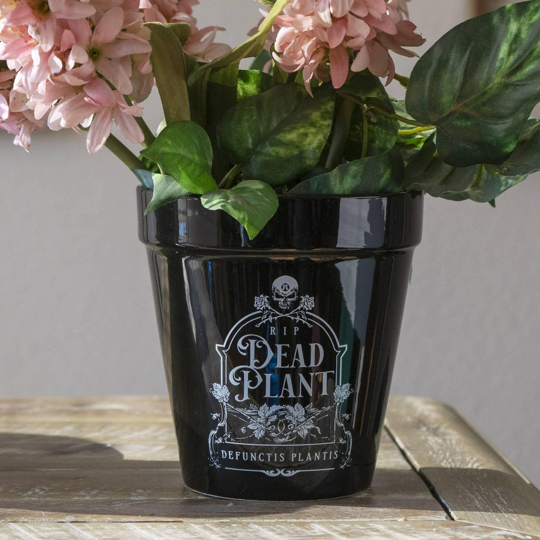 dead plant pot Dead Plant" Planter Pot – Earth Fairy Holistics