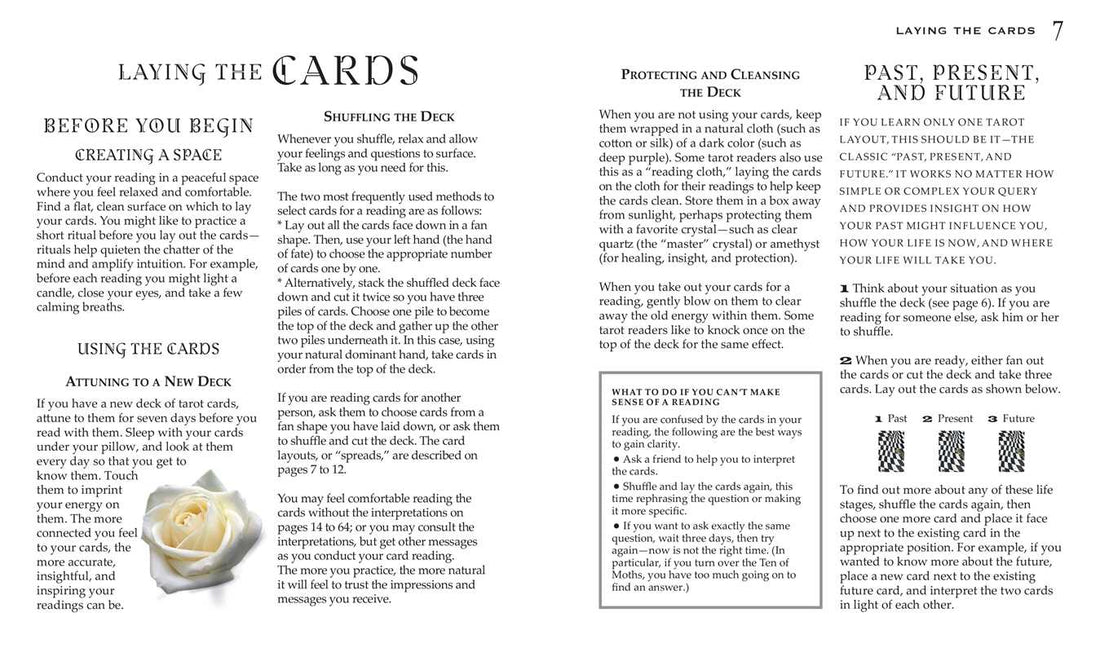 Gothic Steampunk Tarot by Liz Dean-Earth Fairy Holistics