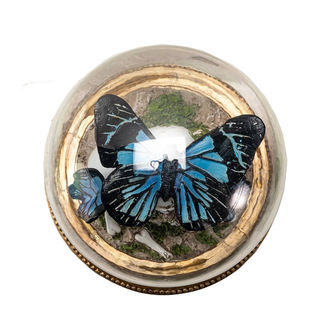 16273 Butterfly Skull Cloche-Earth Fairy Holistics
