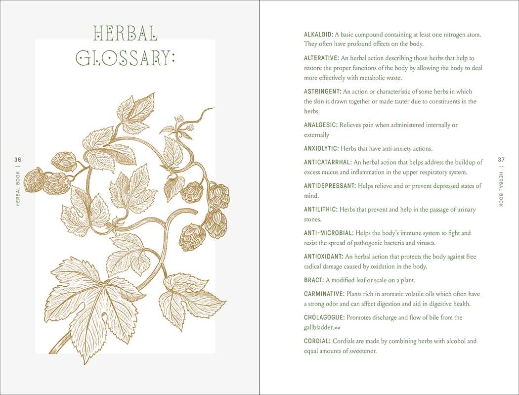Complete Folk Herbal by Rebecca Beyer-Earth Fairy Holistics