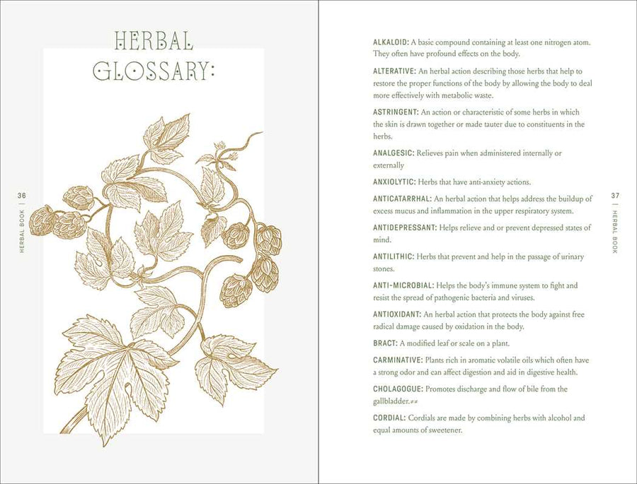 Complete Folk Herbal by Rebecca Beyer-Earth Fairy Holistics