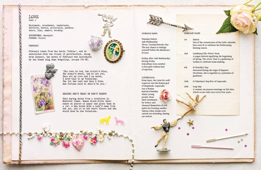 Curiosity of Folklore, Magic and Spells, A : Sam McKechnie-Earth Fairy Holistics