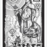 Hermetic Tarot Deck-Earth Fairy Holistics