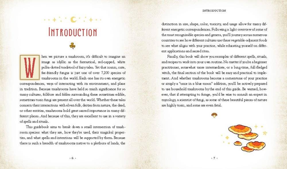 Mushroom Magick by Shawn Engel-Earth Fairy Holistics