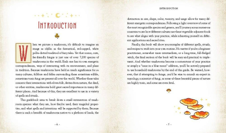 Mushroom Magick by Shawn Engel-Earth Fairy Holistics