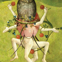 Hieronymus Bosch Tarot by Travis McHenry-Earth Fairy Holistics