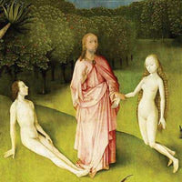 Hieronymus Bosch Tarot by Travis McHenry-Earth Fairy Holistics