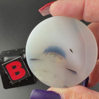 Scenic Dendritic Agate Flat Stones