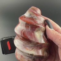 Petrified Wood Flames