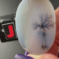 Scenic Dendritic Agate Flat Stones