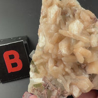 Apophyllite Mixed Specimens