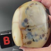 Dendritic Agate Free Form