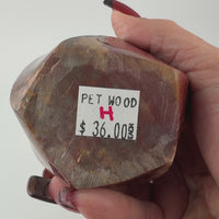 Petrified Wood Flames