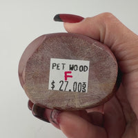 Petrified Wood Flames