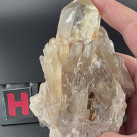 Kundalini Citrine