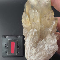 Kundalini Citrine