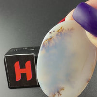 Scenic Dendritic Agate Flat Stones