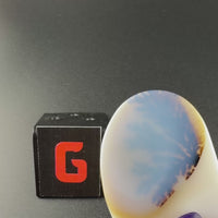 Scenic Dendritic Agate Flat Stones