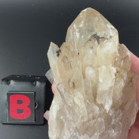 Kundalini Citrine
