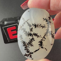 Scenic Dendritic Agate Flat Stones