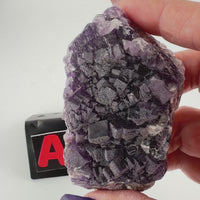 English Fluorite Raw Specimens