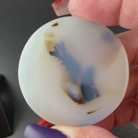 Scenic Dendritic Agate Flat Stones