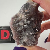 English Fluorite Raw Specimens