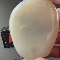 Dendritic Agate Free Form