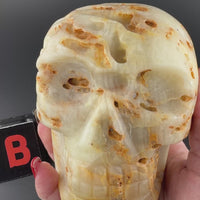 Calcite Skulls