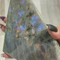 Labradorite Free Form (Purple Dominant Flash)