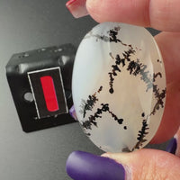 Scenic Dendritic Agate Flat Stones