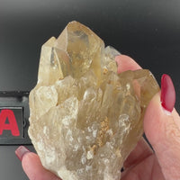Kundalini Citrine